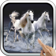 Beautiful Horses Wave effect