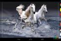 Beautiful Horses Wave effect screenshot 1
