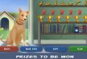 Clickety Dog: Pet School screenshot 4