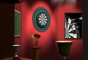 Pro Darts 2014 screenshot 2