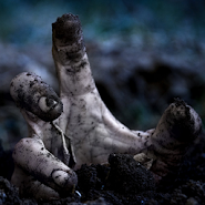 Судный день: атака зомби