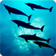 Глубины Океана 3D