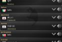 Q Multi Language Translator / мульти переводчик screenshot 10