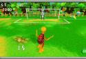Hare VS Turtle Soccer screenshot 5