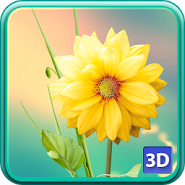 3D Цветы Живые Обои