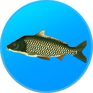 Реальная Рыбалка