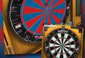 Darts Match screenshot 15