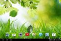 Spring Live Wallpaper screenshot 7