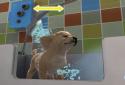 PS Vita Pets: Твой щенок screenshot 2