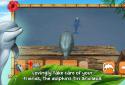 Dolphins of the Caribbean screenshot 4