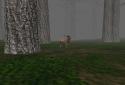 Trapped in the Forest screenshot 3