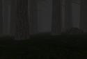 Trapped in the Forest screenshot 5