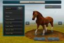 Race Horses Champions 2 screenshot 1