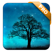 Dream Night Pro Live Wallpaper