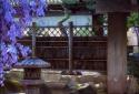 Real Zen Garden 3D: Night LWP screenshot 6