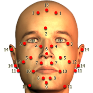 Точечный массаж тела