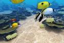 Tropical Ocean 360° screenshot 1