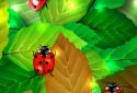 Colorful Ladybug Garden LWP screenshot 1