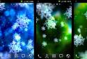 Snow Stars FULL screenshot 5