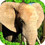 Elephant Simulator