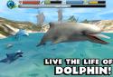 Dolphin Simulator screenshot 6