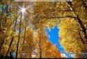 Прекрасная осень Живые обои / Beautiful Autumn screenshot 10
