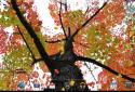 Прекрасная осень Живые обои / Beautiful Autumn screenshot 13