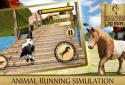 Wild Horse Simulator- 3D Run screenshot 2