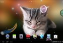 Sleepy Kitten Live Wallpaper screenshot 4