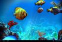 Tropical Ocean 3D LWP screenshot 11