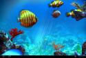 Tropical Ocean 3D LWP screenshot 15