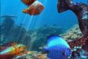 Tropical Ocean 3D LWP screenshot 4