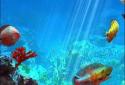 Tropical Ocean 3D LWP screenshot 8