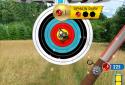 Archer Champion screenshot 5