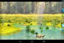 Ducks 3D Live Wallpaper FULL screenshot 15