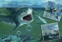 Hungry White Shark Revenge 3D screenshot 6