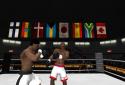 Boxing - Road To Champion screenshot 5
