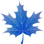 3D Autumn Maple Leaves