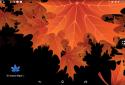 3D Autumn Maple Leaves screenshot 2