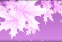 3D Maple Leaves screenshot 7
