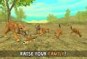 Wild Cougar Sim 3D screenshot 2