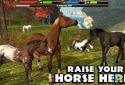 Ultimate horse simulator screenshot 4