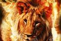 Fire Lion Live Wallpaper screenshot 1
