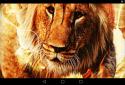Fire Lion Live Wallpaper screenshot 5