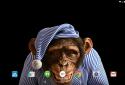 Angry Monkey 3D Live Wallpaper screenshot 10