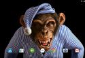 Angry Monkey 3D Live Wallpaper screenshot 8