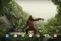 Dancing Monkey HD Live Wall screenshot 7