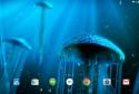 Night Light Jelly Fish 3D LWP screenshot 7