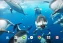 Ocean 3D Dolphin Live Wall screenshot 6