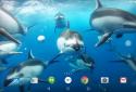 Ocean 3D Dolphin Live Wall screenshot 8